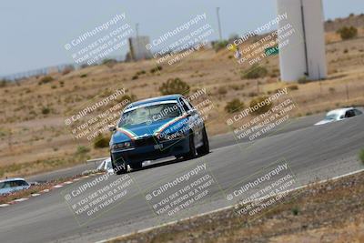 media/May-03-2025-Lucky Dog Racing (Sat) [[206de64b9d]]/Turn 6 (150pm-230pm)/